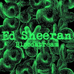 Bloodstream