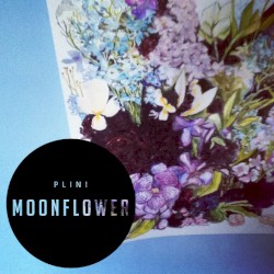 Moonflower