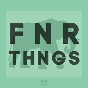 Finer Things (Instrumental)