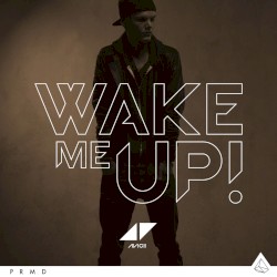 Wake Me Up (Hardwell Mash-Up Reboot)