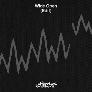 Wide Open (Edit)