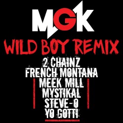Wild Boy (remix)