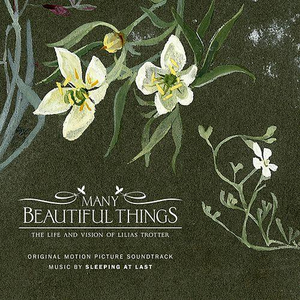 Many Beautiful Things (Original Motion Picture Soundtrack)