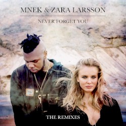 Never Forget You (The Remixes)