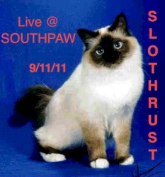 Live @ Southpaw