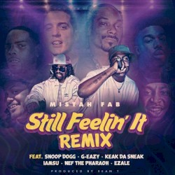 Still Feelin’ It (remix)