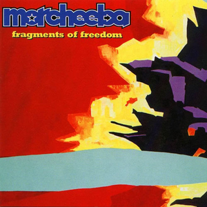 Big Calm / Fragments of Freedom