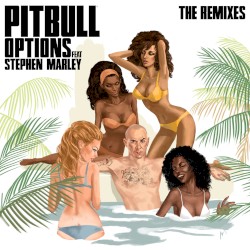 Options (The Remixes)