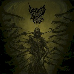 Passages Into Deformity