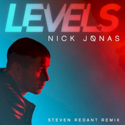 Levels (Steven Redant Remix)