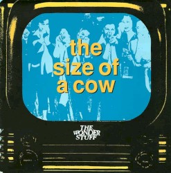 The Size of a Cow