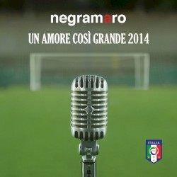 Un amore così grande 2014