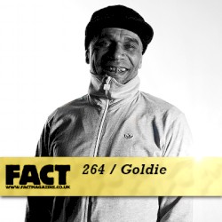 FACT Mix 264: Goldie