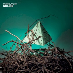 FabricLive 58: Goldie