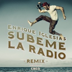 Súbeme la radio (remix)