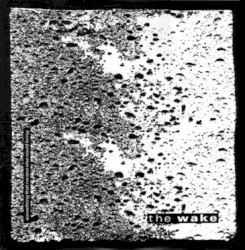 Something That No One Else Could Bring