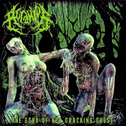 The Echo of Her Cracking Chest