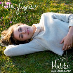 Malibu (Alan Walker remix)