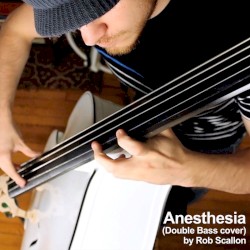 Anesthesia (Double Bass cover)