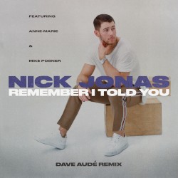 Remember I Told You (Dave Audé remix)