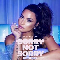 Sorry Not Sorry (Freedo remix)