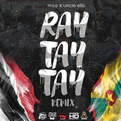 Ray Tay Tay (Remix) - Single [feat. Uncle Ellis]