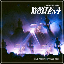 Waste a Moment (live)