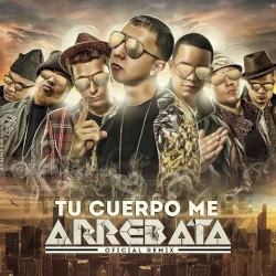 Tu cuerpo me arrebata (remix)