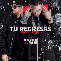 Tú regresas (remix)