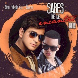 Sabes que me encantas (remix)