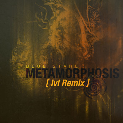 Metamorphosis (Lvl Remix)
