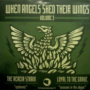 When Angels Shed Their Wings Volume 3