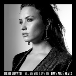 Tell Me You Love Me (Dave Audé remix)