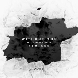 Without You (Remixes)