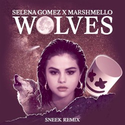 Wolves (Sneek remix)