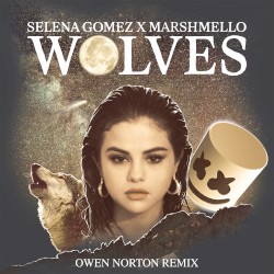 Wolves (Owen Norton remix)