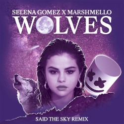 Wolves (Said the Sky remix)