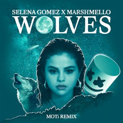 Wolves (MOTi remix)