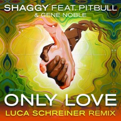 Only Love (the remixes)