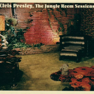 The Jungle Room Sessions