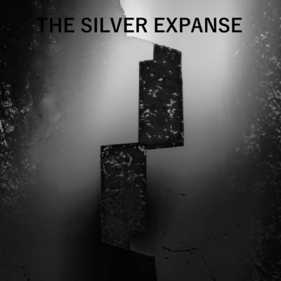 The Silver Expanse