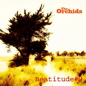 Beatitude #9