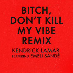 Bitch, Don’t Kill My Vibe (remix)
