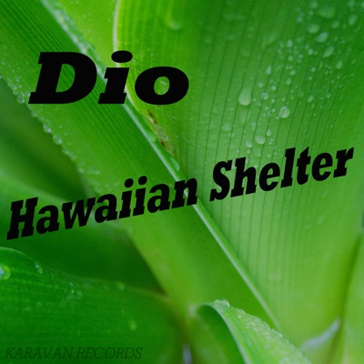 Hawaiian Shelter