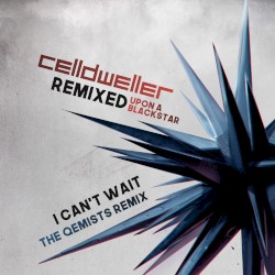 I Can't Wait (The Qemists remix)