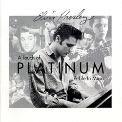 A Touch of Platinum: A Life in Music