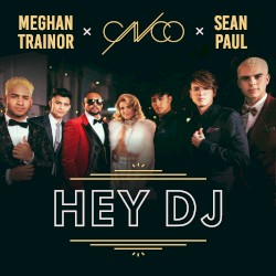 Hey DJ (remix)