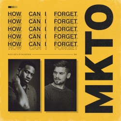 How Can I Forget - Single