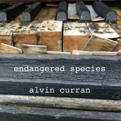 Alvin Curran: Endangered Species