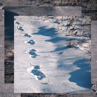 Cold Feet (feat. Careless, Suelily, Damboss, Eklipse & Awrt)